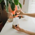 Essential Oils That Promote Relaxation and Wellness for Your Mind and Body Essential Oils That Promote Relaxation and Wellness for Your Mind and Body