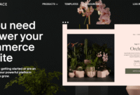 How to Buy Software for eCommerce Store Management and Optimization Made Easy How to Buy Software for eCommerce Store Management and Optimization Made Easy