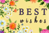 Best Kick Shields for Powerful Kicks Unleash Your Potential Best Kick Shields for Powerful Kicks Unleash Your Potential