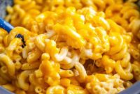 The Best Outdoor Gear for Your Next Long-Term Camping Expedition